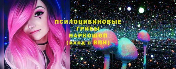 твердый Абаза