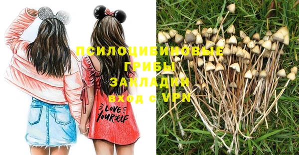 стаф Медвежьегорск