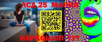 молекула духа Кулебаки
