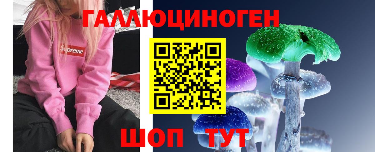 Галлюциногенные грибы Psilocybe Тверь